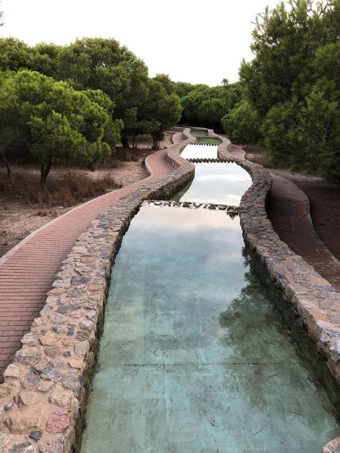 Martas Apartment La Mata  Dış mekan fotoğraf