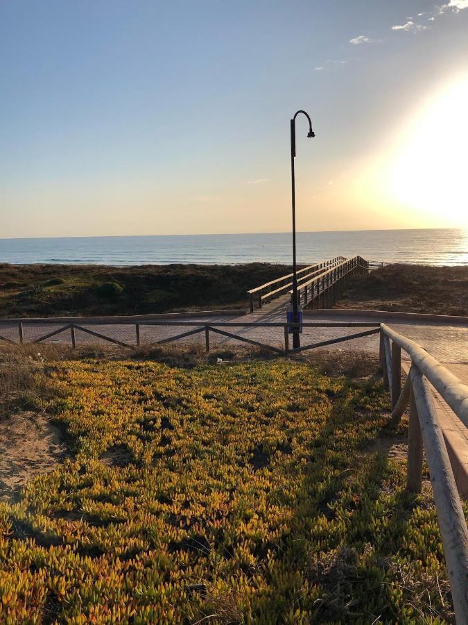 Martas Apartment La Mata  Dış mekan fotoğraf